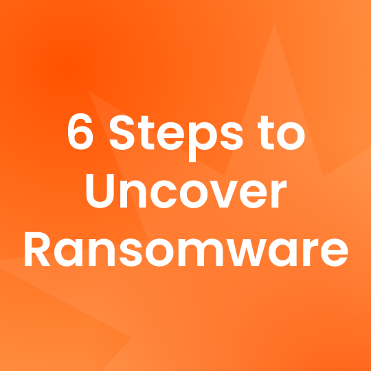 6 Schritte zum Aufdecken von Ransomware