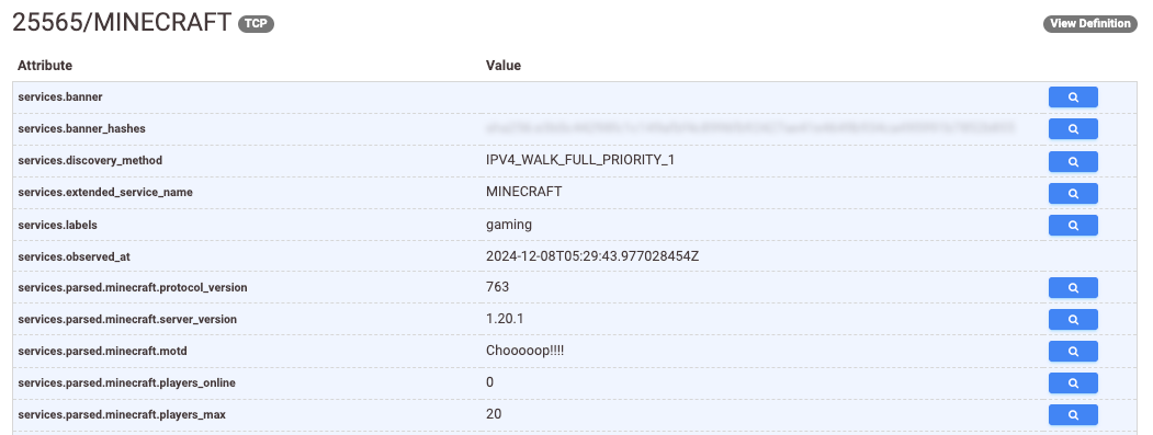 Censys Minecraft Server Search Result