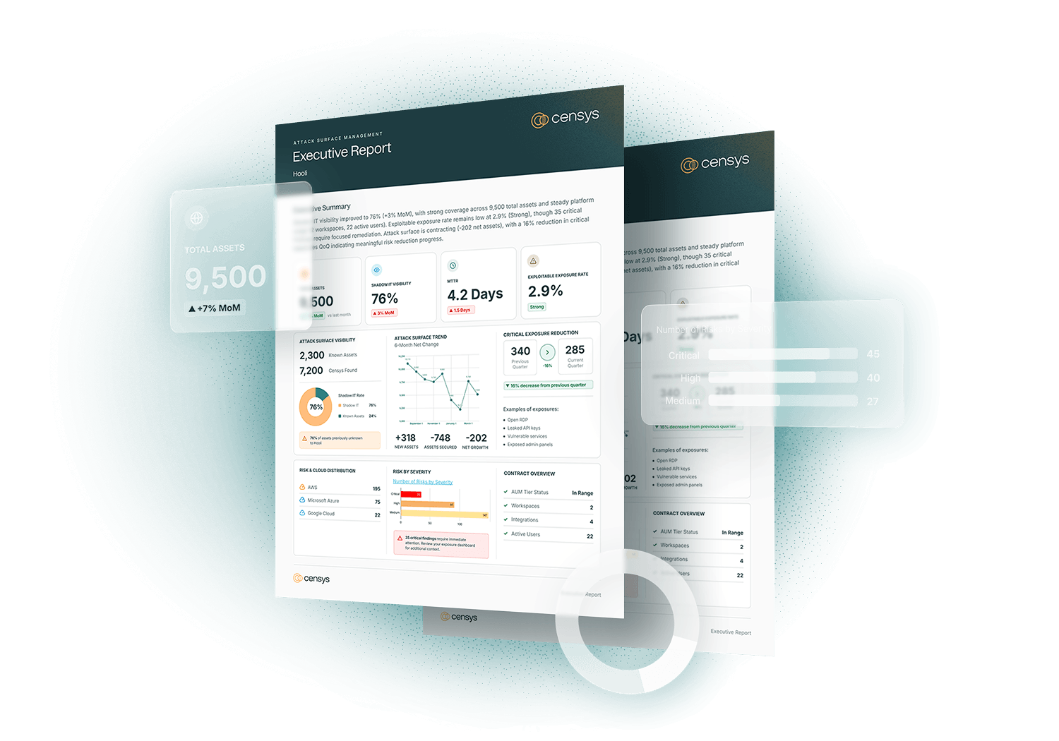 ASM Executive Report