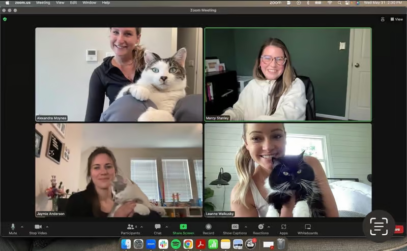 Four women each hold a cat during a virtual meeting, smiling in their respective home settings.