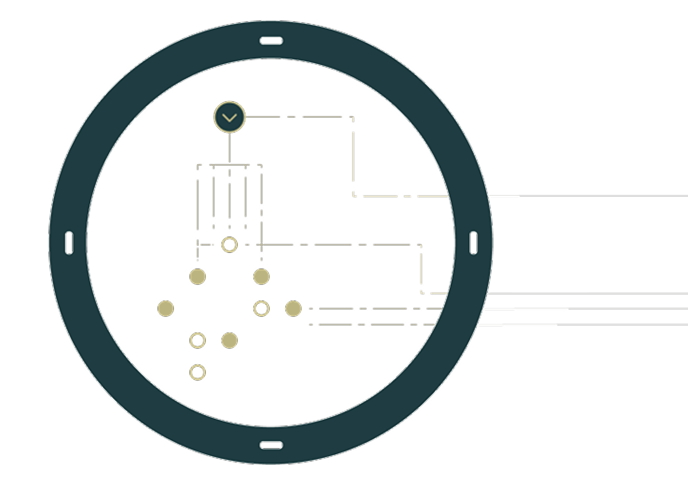 A dark teal circular lens containing an abstract network diagram with connected nodes, dots, and a checkmark icon.