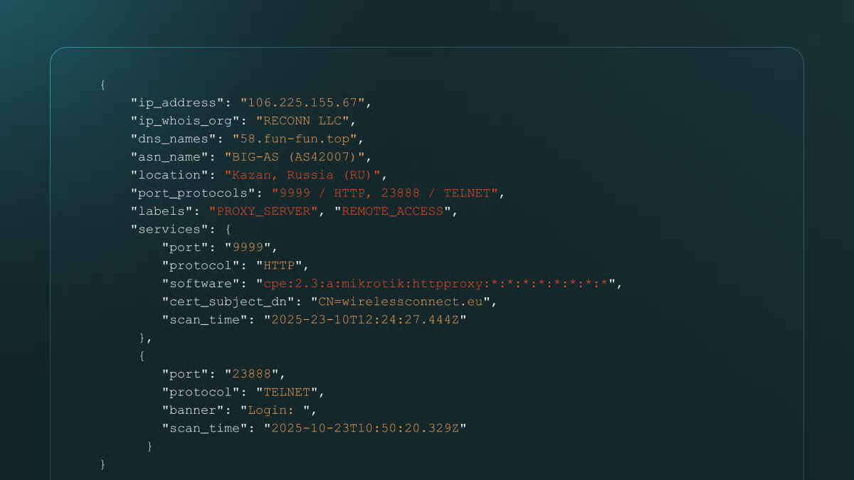 JSON data with IP address, organization, DNS name, ASN, location, port protocols, labels, services, and scan times.
