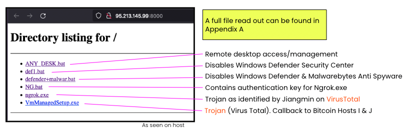 Russian Ransomware 2
