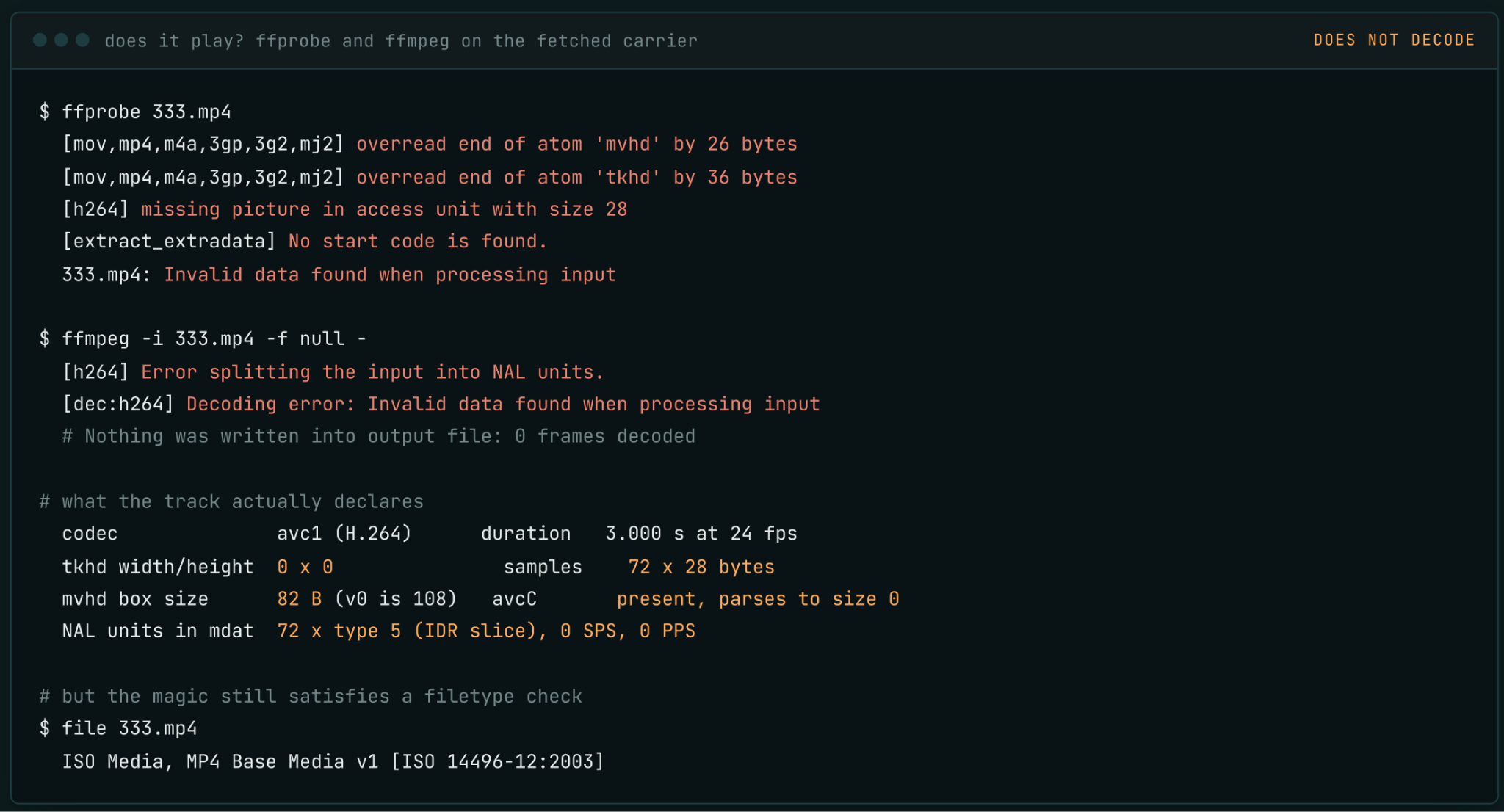 Terminal output demonstrating decoder errors and missing media tracks.
